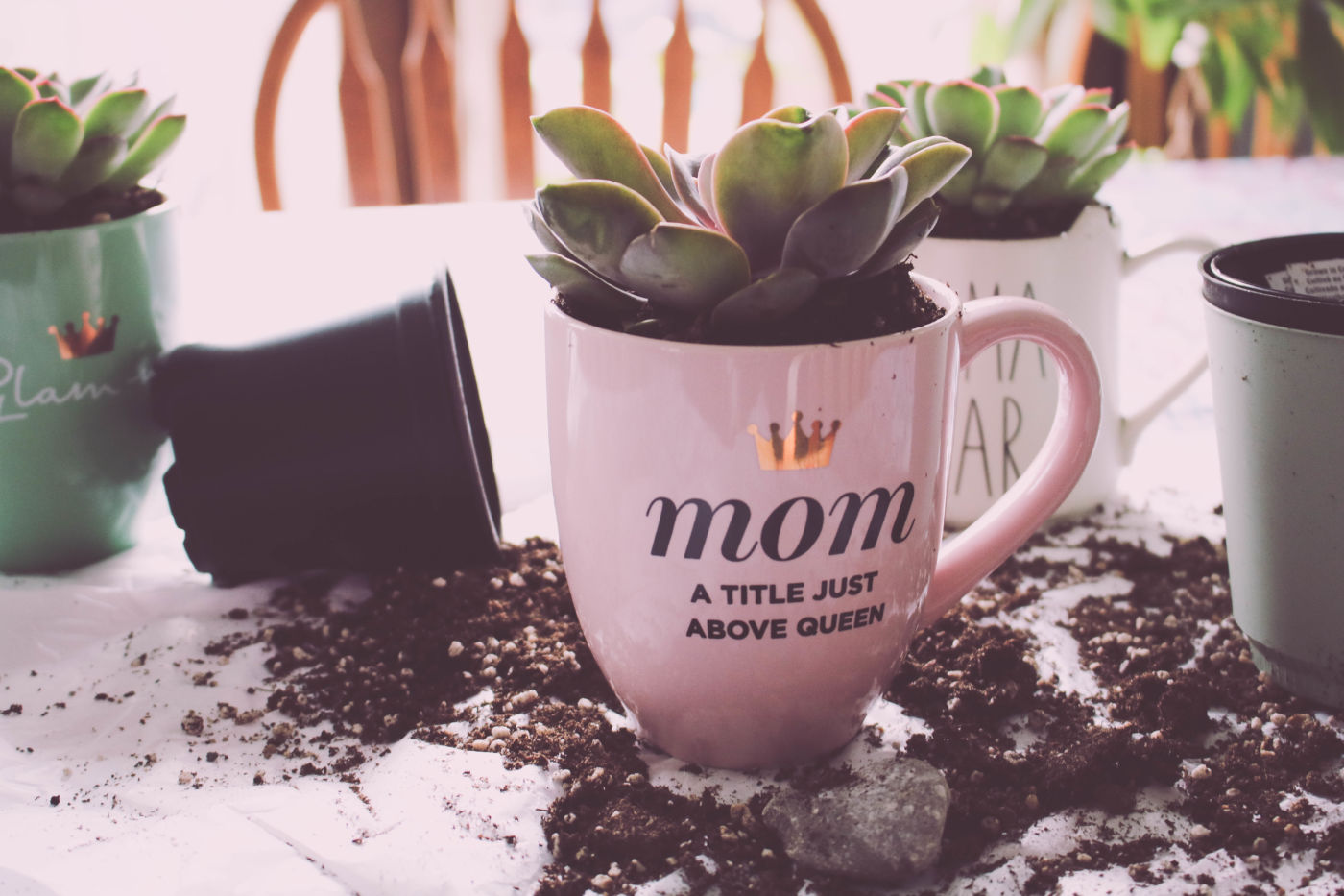 Easy DIY Succulent Planters Mother's Day Gift Idea A Dash of Dee