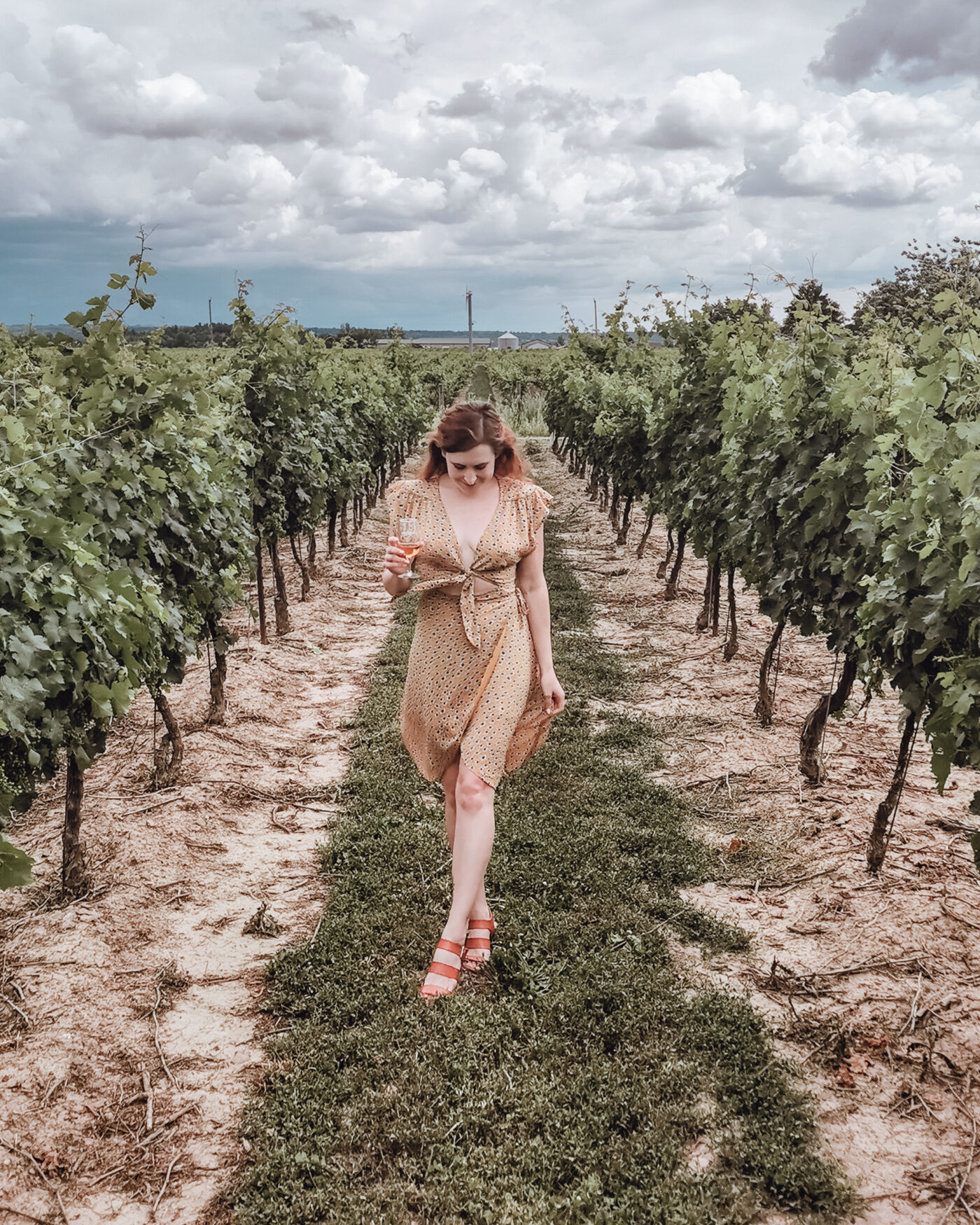 lady wearing a purple dress standing in a vineyard. niagara region wineries to visit now - lakeview wine co